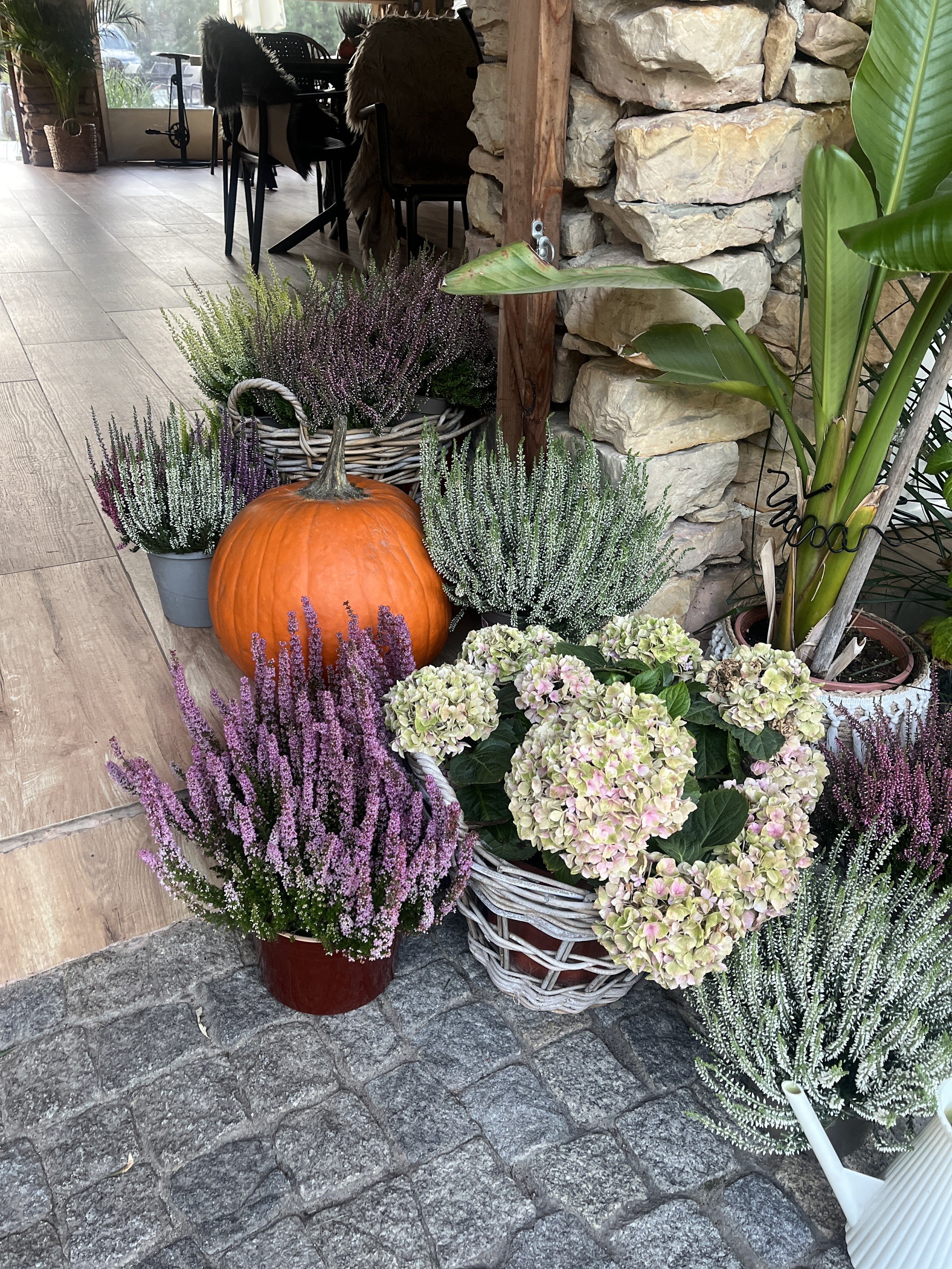 Camping Łoś (Leonów / Adamów)